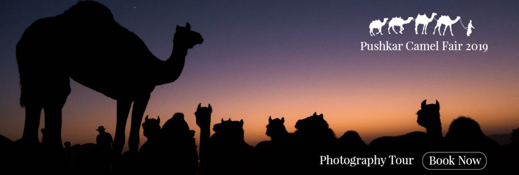 Pushkar Camel Fair Photography Tour 2019
