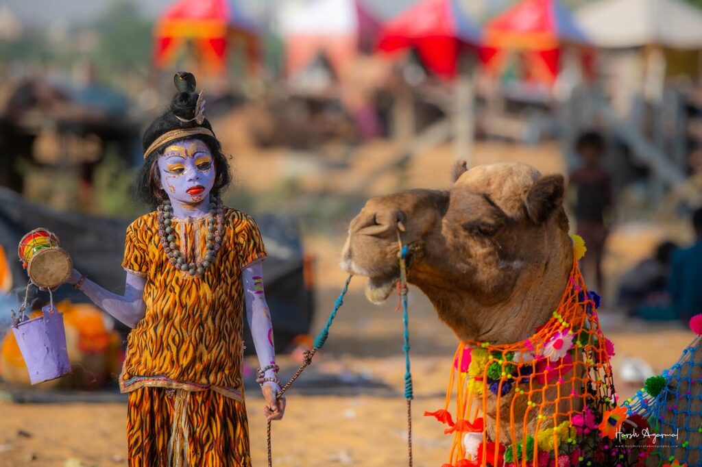 Pushkar Camel Fair, Pushkar , Photography tours in India, Harsh travel photography, Rajasthan tour packages